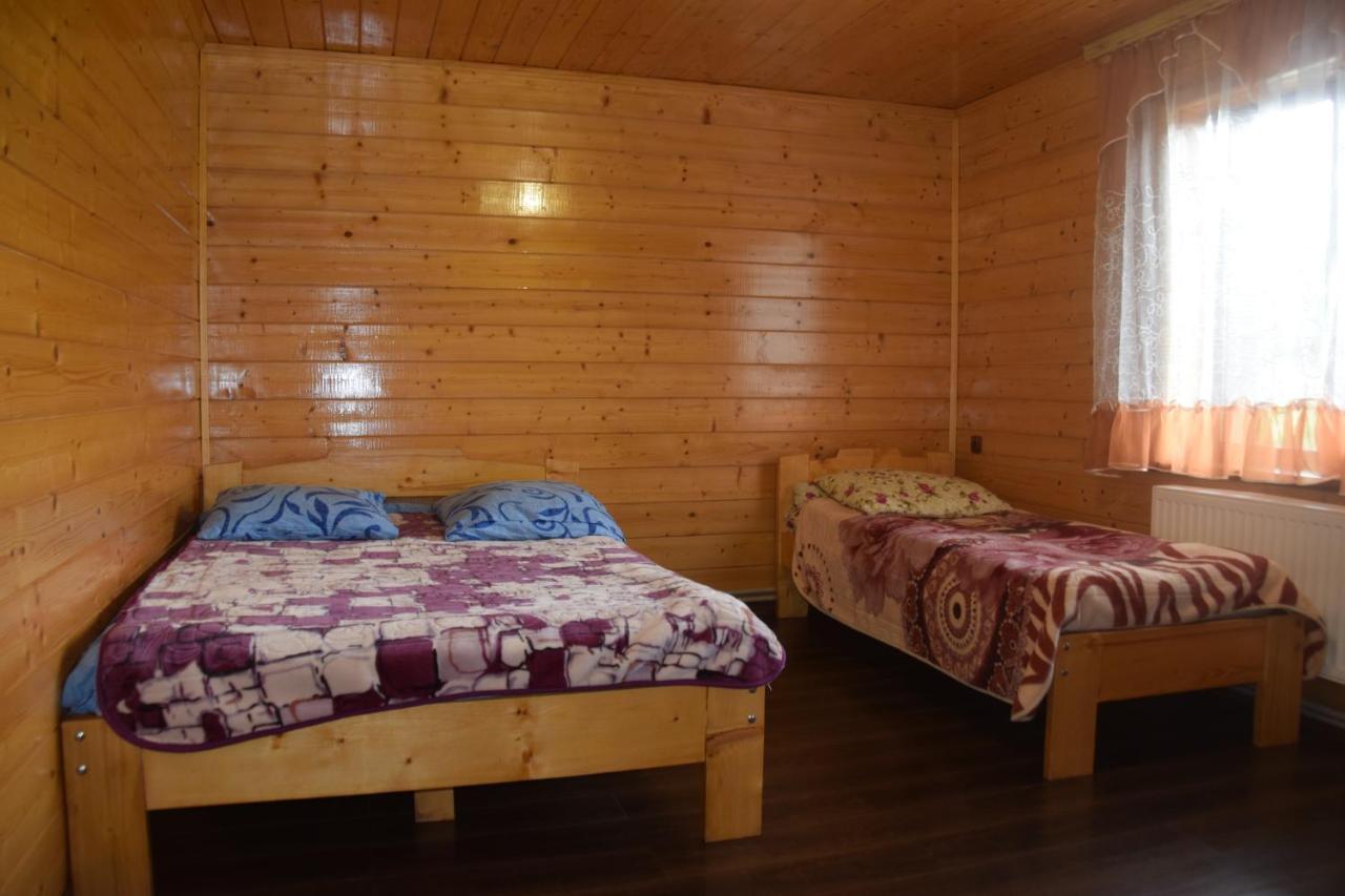 Аура Карпат Villa Slavske Ngoại thất bức ảnh