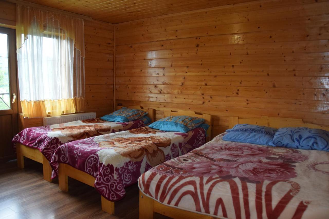 Аура Карпат Villa Slavske Ngoại thất bức ảnh